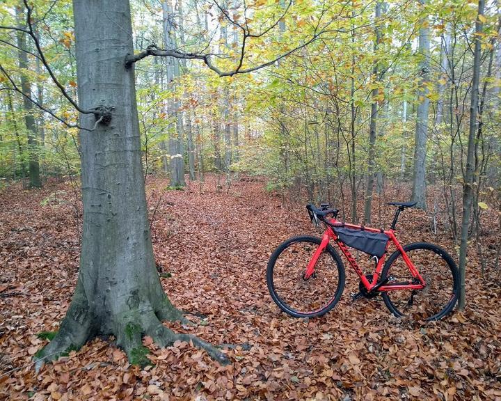 Buhlauer Waldgarten